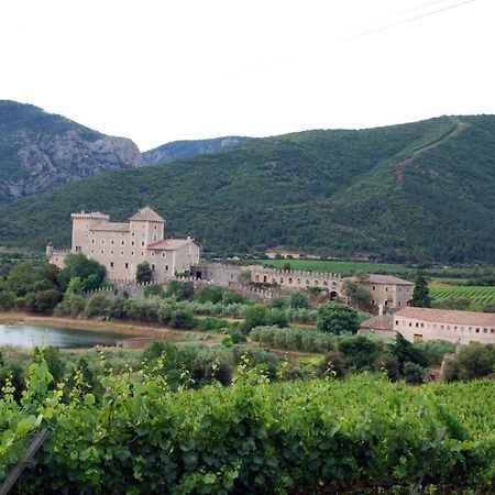 Castell De Riudabella Appartement Vimbodi I Poblet Buitenkant foto