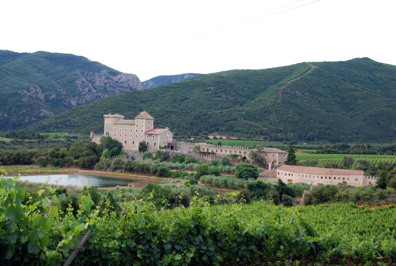 Castell De Riudabella Appartement Vimbodi I Poblet Buitenkant foto