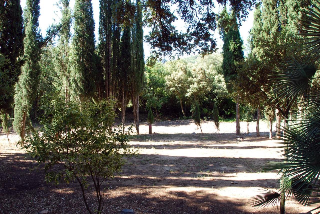 Castell De Riudabella Appartement Vimbodi I Poblet Buitenkant foto