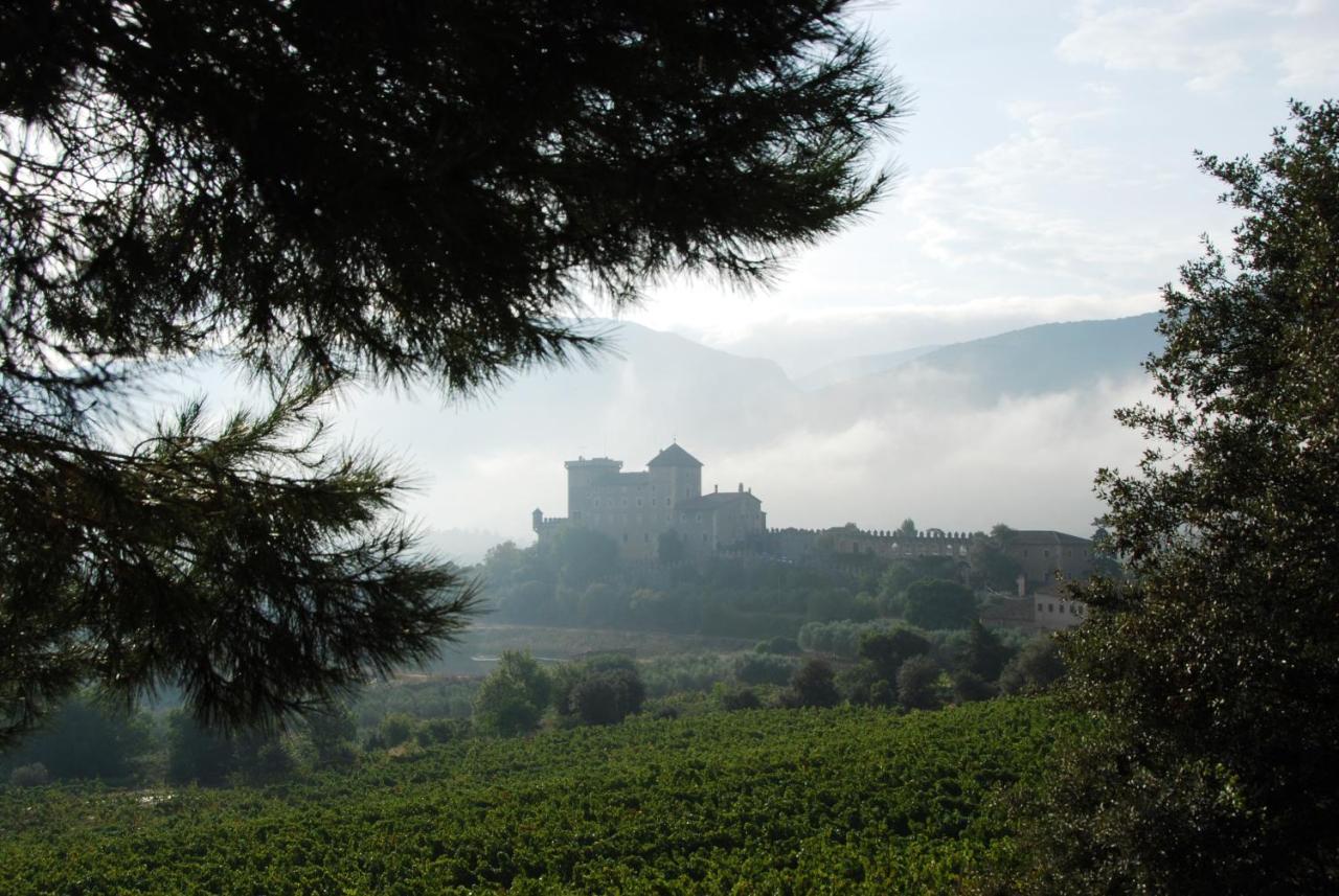 Castell De Riudabella Appartement Vimbodi I Poblet Buitenkant foto
