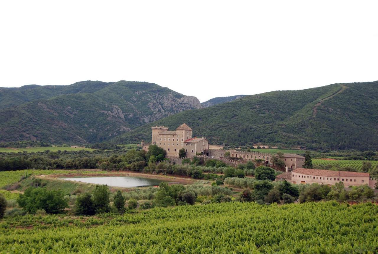 Castell De Riudabella Appartement Vimbodi I Poblet Buitenkant foto