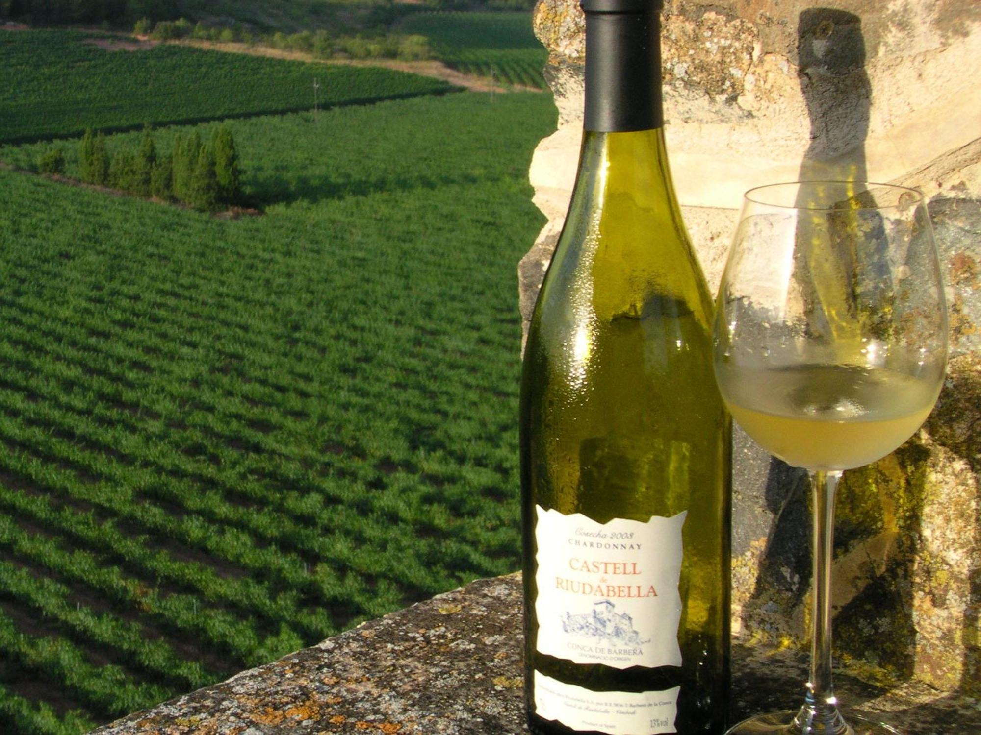 Castell De Riudabella Appartement Vimbodi I Poblet Buitenkant foto