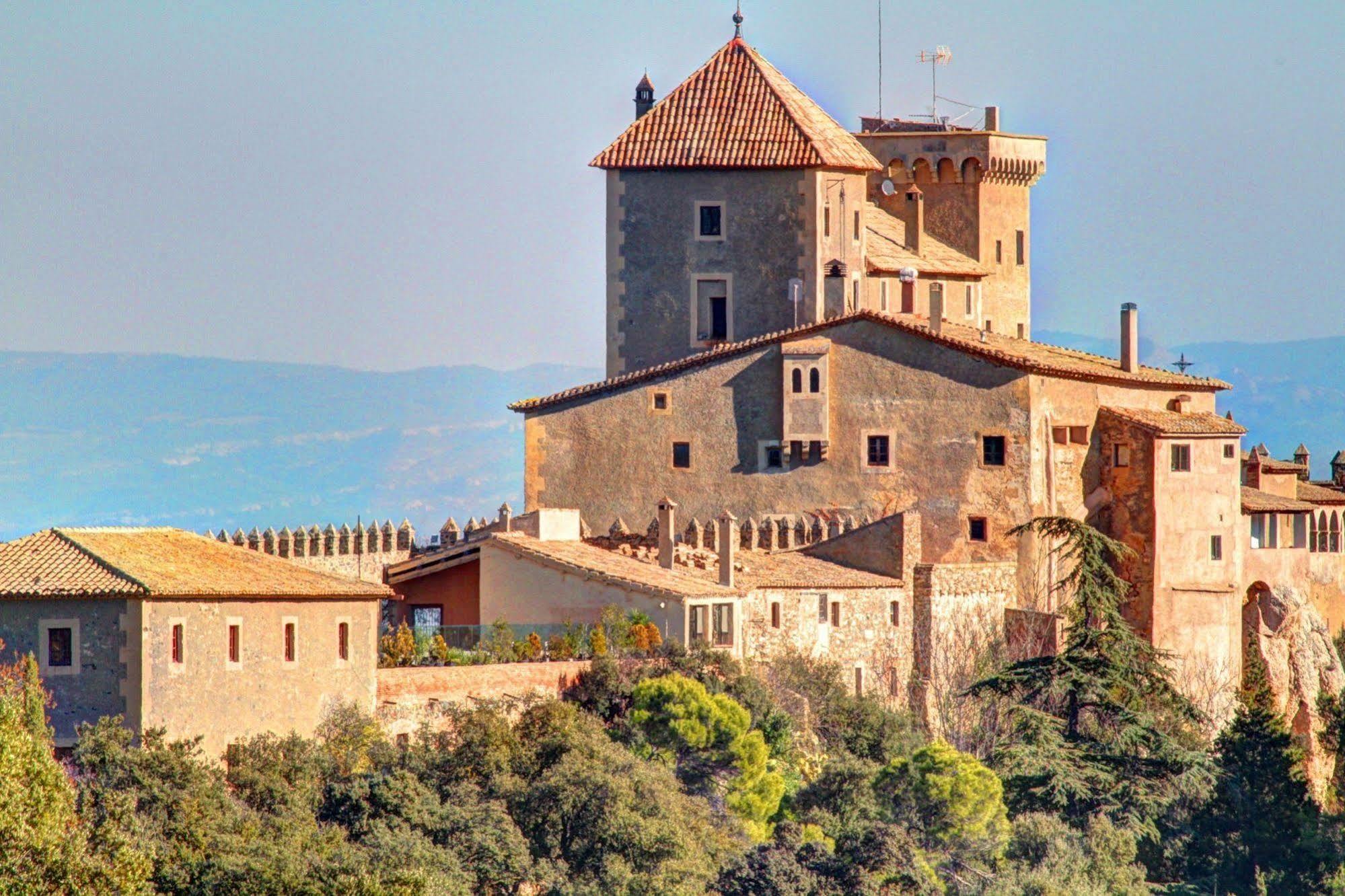 Castell De Riudabella Appartement Vimbodi I Poblet Buitenkant foto